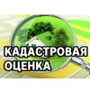 Отчеты кадастровой оценки земельных участков 