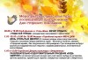 Афиша мероприятий, посвящённых празднованию Дня пожилого человека. Афиша мероприятий, посвящённых празднованию Дня пожилого человека.