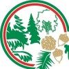 С днем работника леса С днем работника леса