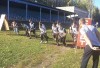 Спартакиада среди образовательных учреждений среднего профессионального образования Спартакиада среди образовательных учреждений среднего профессионального образования