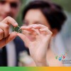 От переписи к переписи. Незарегистрированные браки От переписи к переписи. Незарегистрированные браки