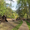 Приглашаем в сказочный лес Приглашаем в сказочный лес