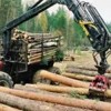 Программа Красноярского края «Проекты лесной промышленности»