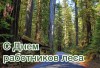 С Днём работников леса! С Днём работников леса!
