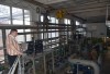 Качество коммунальных услуг повысится! Качество коммунальных услуг повысится!