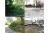 Демонтированы еще два фундамента от снесенных домов Демонтированы еще два фундамента от снесенных домов