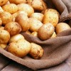 Торговые площадки по реализации картофеля и овощей Торговые площадки по реализации картофеля и овощей