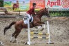 Кубок Главы города Дивногорска по конному спорту