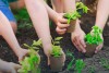 Недетские грядки в детских садах Недетские грядки в детских садах